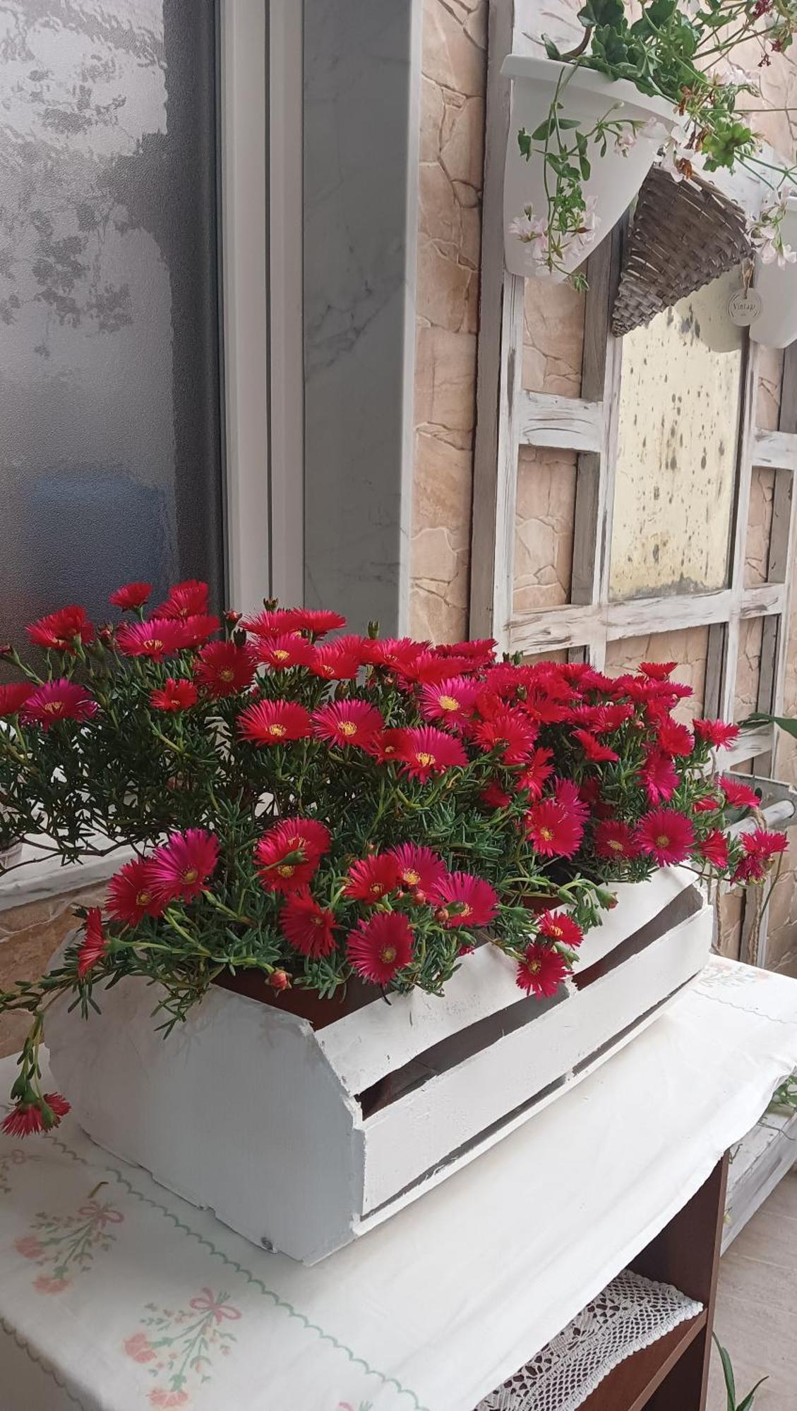 레조디칼라브리아 Le 3 Dee B&B 객실 사진
